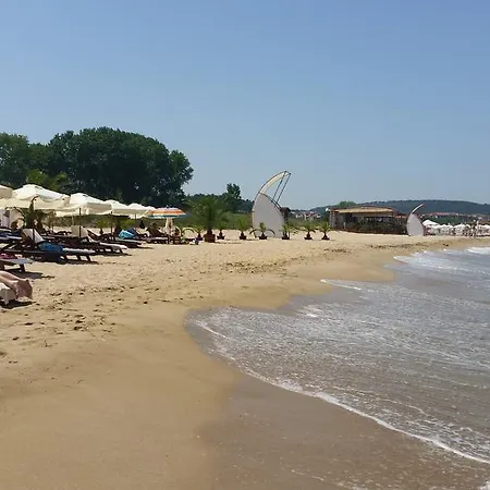 아파트 Gitea Lilies *