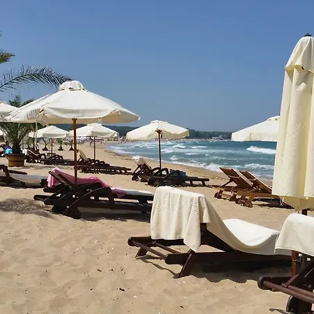 아파트 Gitea Lilies