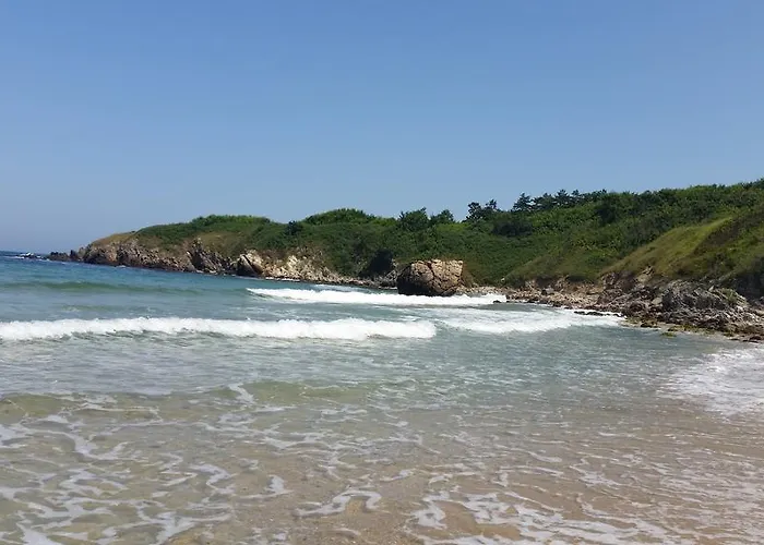 Gitea Lilies Σωζόπολη