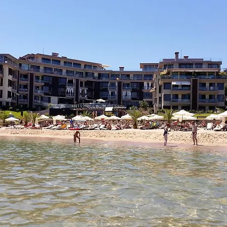 Gitea Lilies Sozopol